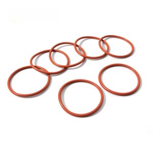fluorine rubber o sealing ring