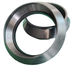 piston sealing ring